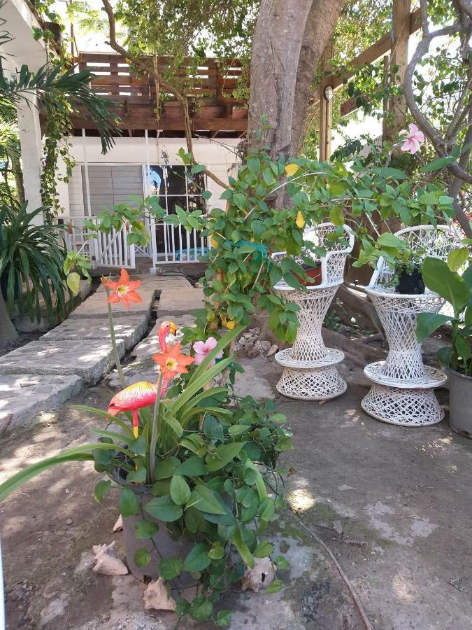 Villa Florencia Bavaro Punta Cana Exterior foto
